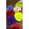 Fustella XL Rose due misure con foglia