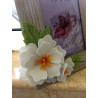 Fustella L Fiori e Foglia