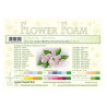 Fommy Leane Creatief per fiori 0,8 mm in fogli A4 10 pezzi colore Bianco sporco