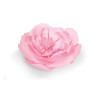 Fustella Sizzix Framelits Large Peony