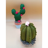 Fustella XL Cactus e pianta grassa con fiore