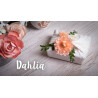 Fustella Sizzix Bigz Dahlia by Emily Tootie