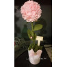 Fustella XL Ortensie