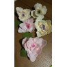 Fustella L Kit petali per fiori e foglie