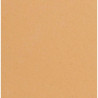 Fommy Darice 2 mm 10 fogli colori assortiti