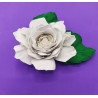 Fustella M Rosa bianca