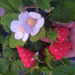 Fustella L Fragola fiore e foglia