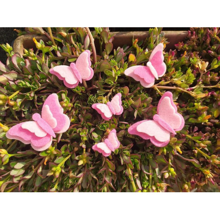 Fustella M Farfalle
