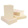 Set 100 buste Anita's formato A6 colore crema