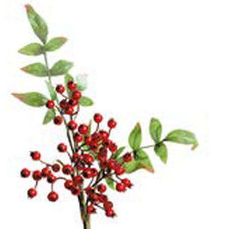 Rametto di rosa canina alt. 40 cm