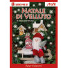 Libro idee per creare Natale di velluto