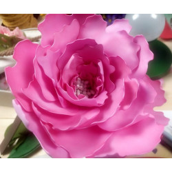 Fustella M Peonia