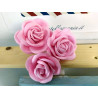 Fustella L Petali a goccia per rose