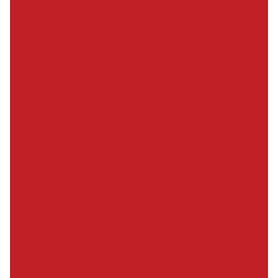 Pannolenci 1 mm colore rosso 5 fogli formato A4