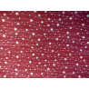 Pannolenci stampato 1mm fantasia stelline di Natale 40x50 cm