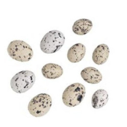 Uova di uccello 4 cm 6 pezzi