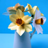 Fustella Sizzix BIGZ L Fustella Narciso