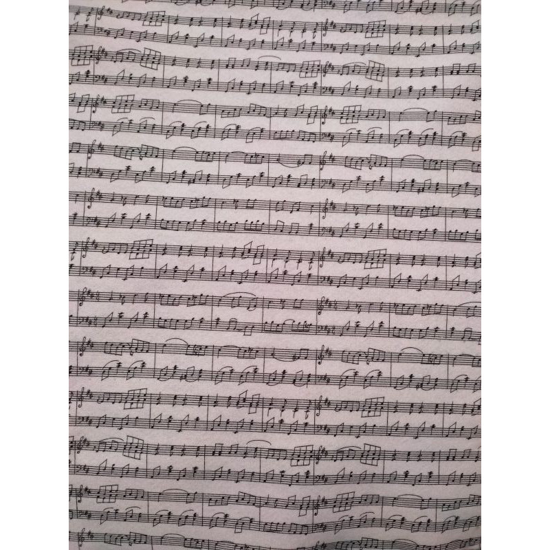 Pannolenci morbido note musicali Fustellomania 1mm  - 1 foglio 45x50 cm base rosa
