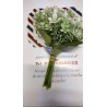 Silene colore bianco alt. 26 cm