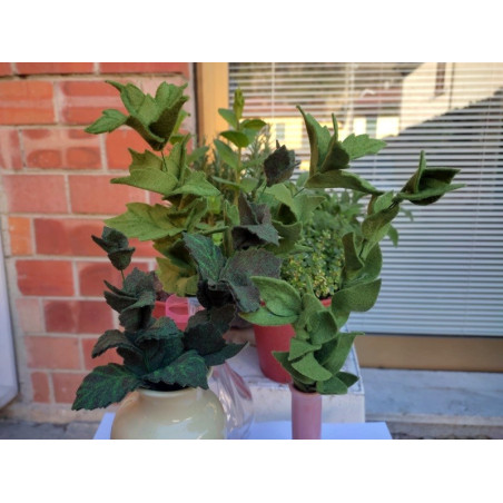 Fustella M Foglie per piante aromatiche Salvia Basilico Menta