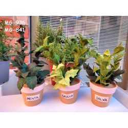 Fustella M Foglie per piante aromatiche Salvia Basilico Menta