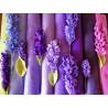 Pannolenci 1 mm  - KIT 8 colori Lavanda