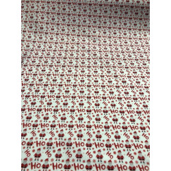 Pannolenci stampato 1mm Ho ho ho 50x90 cm