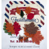 Fustella M Autunno 2014