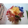 Fustella XL Rose Veronica due misure