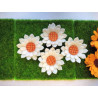 Fustella M Margherita girasole