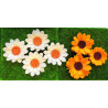 Fustella M Margherita girasole
