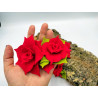 Fustella M Rose rosse