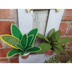 Fustella XL Agave Sanseveria
