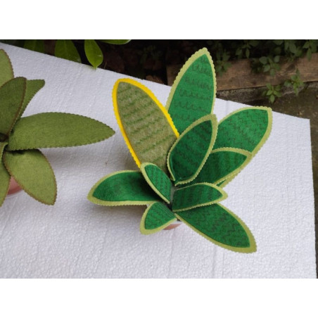 Fustella XL Agave Sanseveria