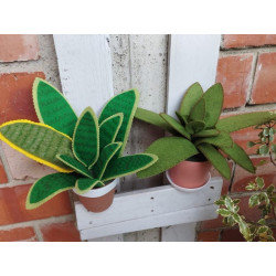Fustella XL Agave Sanseveria