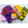 Pannolenci 1 mm - KIT 7 colori Gladioli