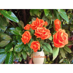 Fustella XL Rose bourbon
