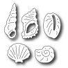 Fustella metallica Conchiglie di mare