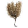 Ramo Deco pick glitter h. 19cm champagne