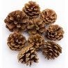 Set pigne naturali 5cm,130gr.