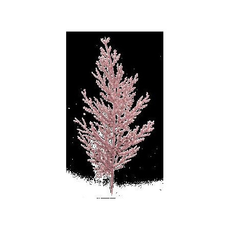 Ramo Thuja Glitter rosa chiaro 27 cm