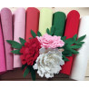 Feltro lana termoformabile 2 mm  - KIT 10 colori Sfumature per peonie