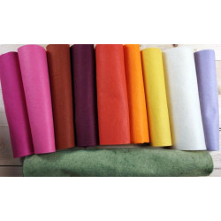 Pannolenci termoformabile 1,5 mm  - KIT 10 colori Margherite di montagna