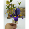 Fustella L Iris