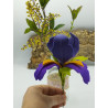 Fustella L Iris