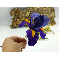 Fustella L Iris