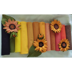 Pannolenci 1 mm  - KIT 12 colori Girasoli 2024