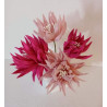 Fustella M Rosa pungente con foglia