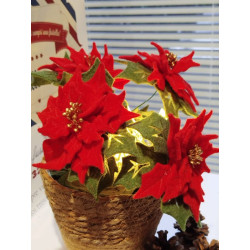 Fustella XL Stella di Natale