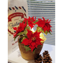 Fustella XL Stella di Natale